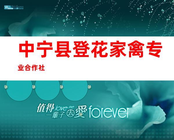 中宁县登花家禽专业合作社