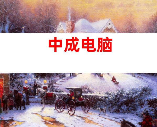 中成电脑