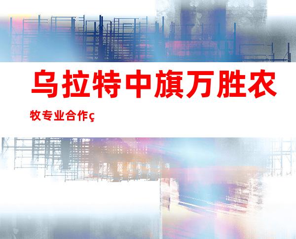 乌拉特中旗万胜农牧专业合作社