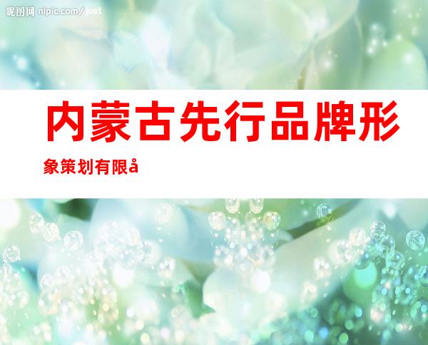 内蒙古先行品牌形象策划有限公司