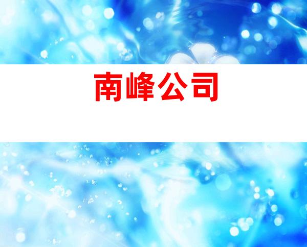 南峰公司