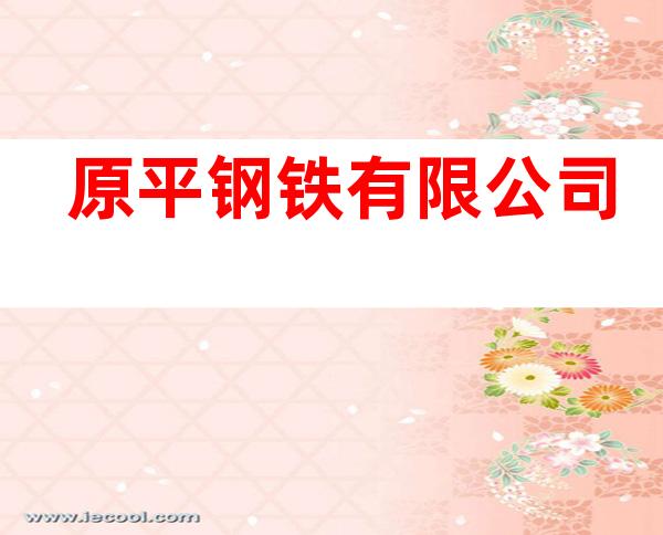 原平钢铁有限公司