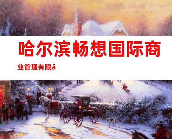 哈尔滨畅想国际商业管理有限公司