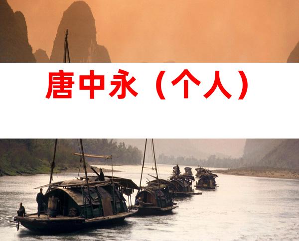 唐中永（个人）
