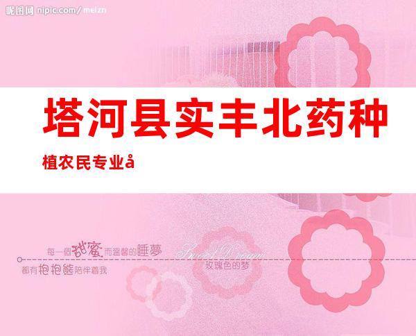 塔河县实丰北药种植农民专业合作社