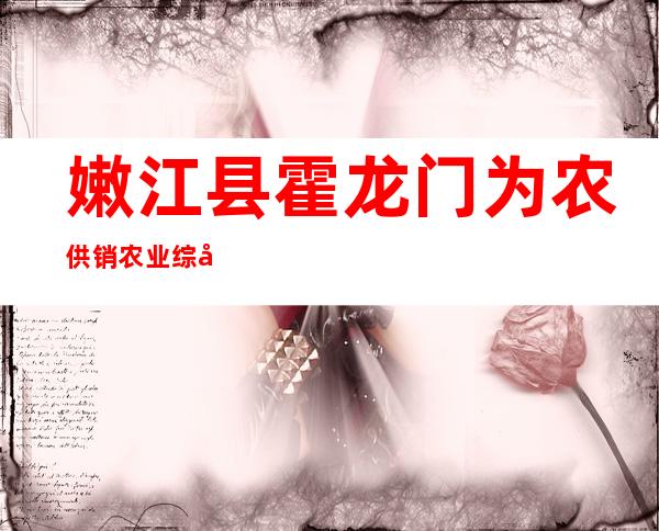 嫩江县霍龙门为农供销农业综合服务有限公司
