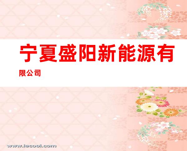 宁夏盛阳新能源有限公司