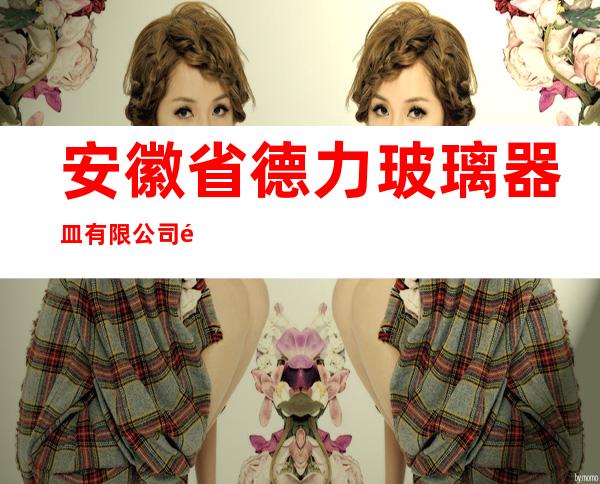 安徽省德力玻璃器皿有限公司销售公司