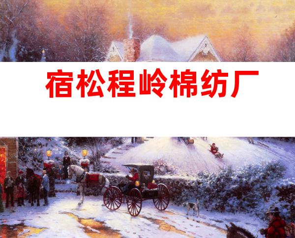 宿松程岭棉纺厂