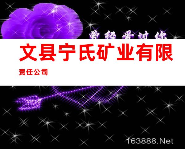 文县宁氏矿业有限责任公司