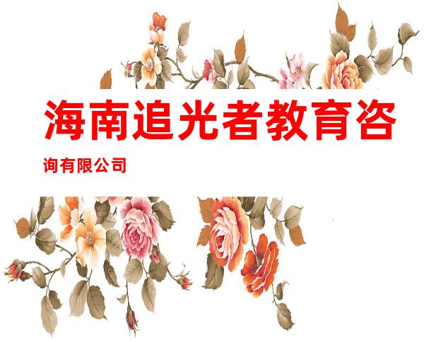 海南追光者教育咨询有限公司