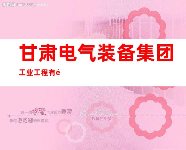 甘肃电气装备集团工业工程有限公司