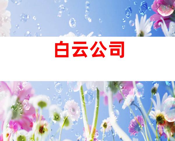白云公司