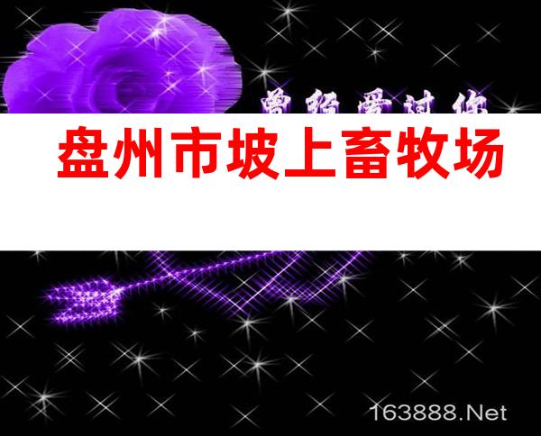 盘州市坡上畜牧场