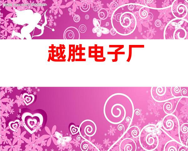 越胜电子厂