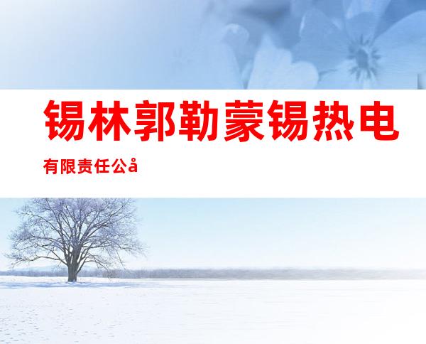 锡林郭勒蒙锡热电有限责任公司