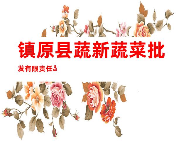 镇原县蔬新蔬菜批发有限责任公司