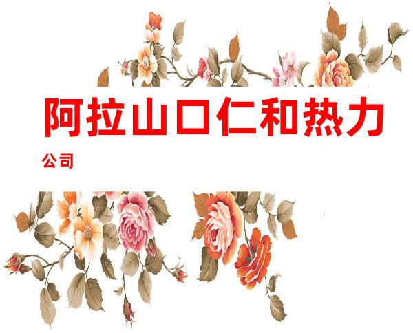 阿拉山口仁和热力公司