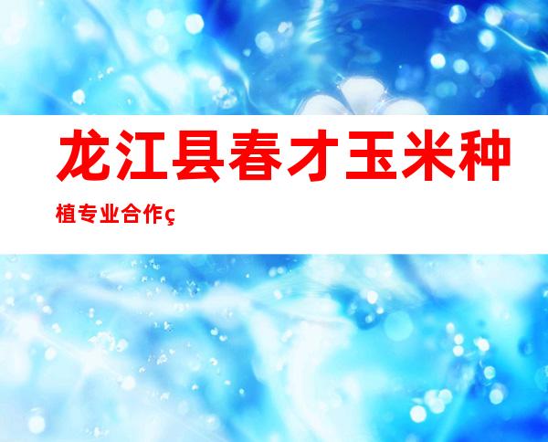 龙江县春才玉米种植专业合作社